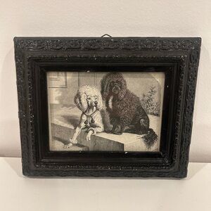 Antique German poodles 19th century, two poodles, dog breed, old dogs
